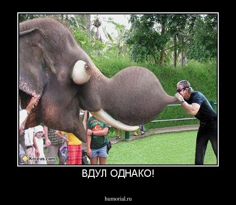 ВДУЛ ОДНАКО!