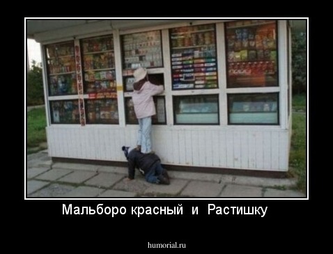 Мальборо красный  и  Растишку 
