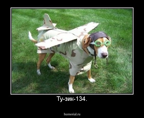 Ту-зик-134.