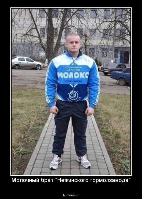 Молочный брат "Нежинского гормолзавода"