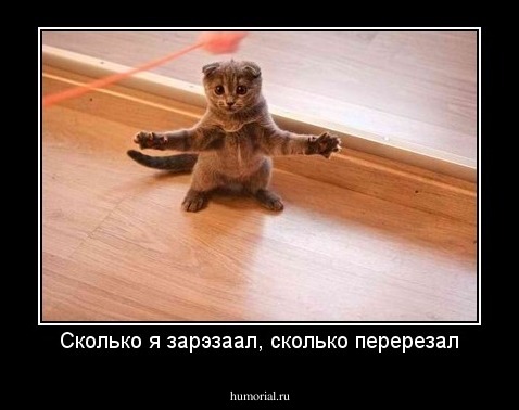 Сколько я зарэзаал, сколько перерезал