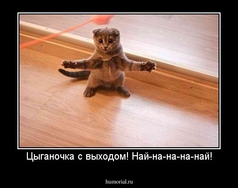 Цыганочка с выходом! Най-на-на-на-най!