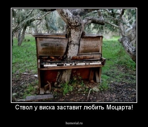 Ствол у виска заставит любить Моцарта!