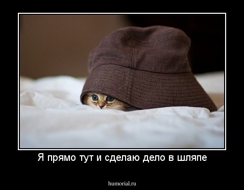 Я прямо тут и сделаю дело в шляпе