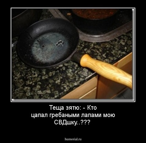 Теща зятю:
- Кто цапал гребаными лапами мою СВДшку..???