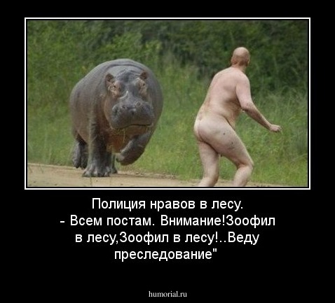 Полиция нравов в лесу.
- Всем постам. Внимание!Зоофил в лесу,Зоофил в лесу!..Веду преследование"