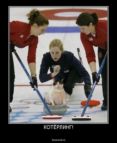 КОТЁРЛИНГ!