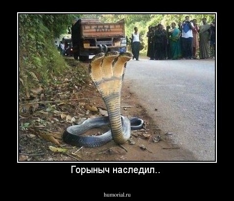 Горыныч наследил.. 