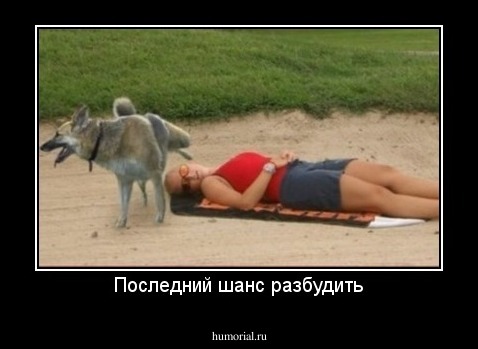 Последний шанс разбудить