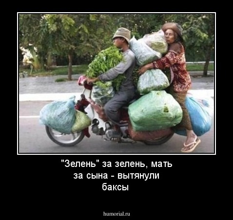 "Зелень" за зелень, мать за сына - вытянули баксы