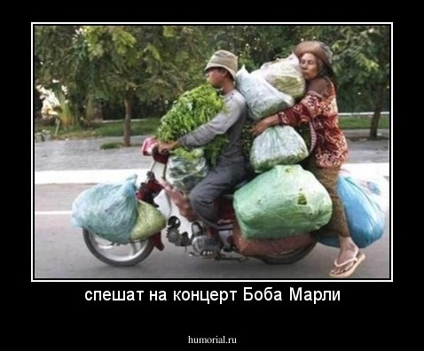 спешат на концерт Боба Марли