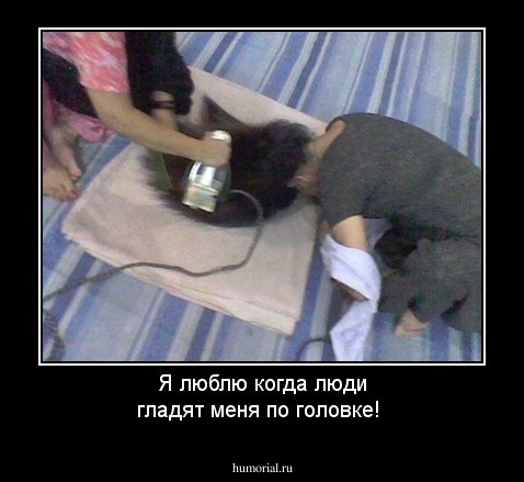 Я люблю когда люди гладят меня по головке!
