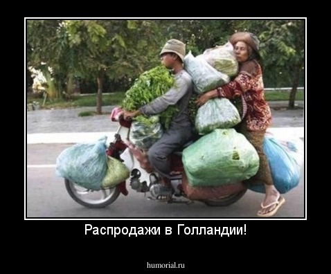 Распродажи в Голландии!