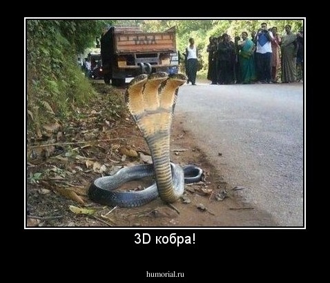 3D кобра!