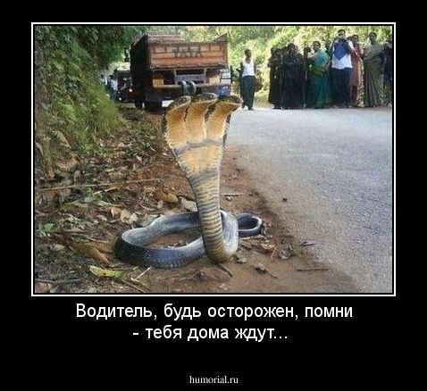 Водитель, будь осторожен, помни - тебя дома ждут...