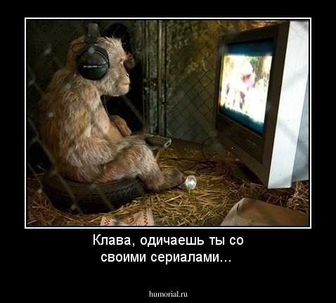 Клава, одичаешь ты со своими сериалами...