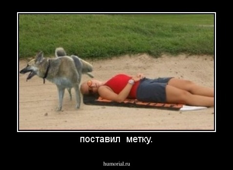 поставил  метку.