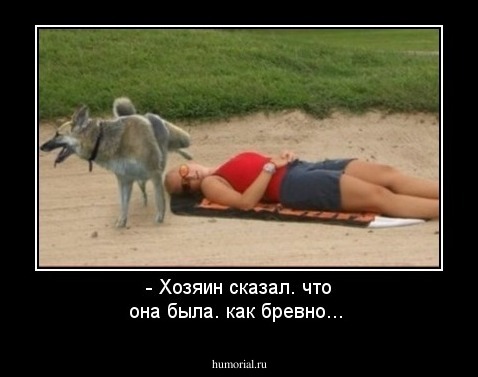 - Хозяин сказал. что она была. как бревно...