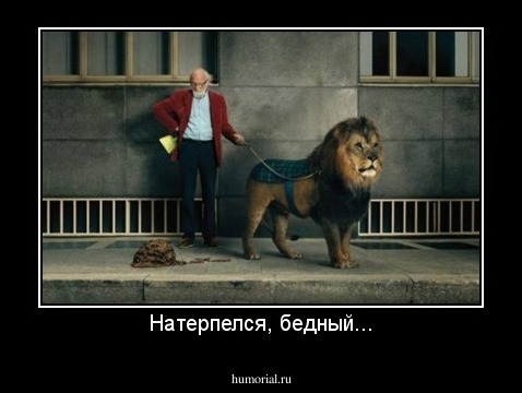 Натерпелся, бедный...