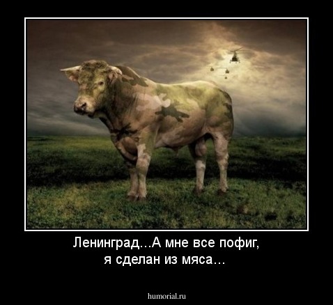 Ленинград...А мне все пофиг, я сделан из мяса...