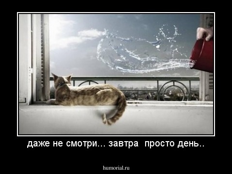 даже не смотри... завтра  просто день..