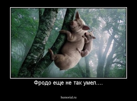 Фродо еще не так умел....