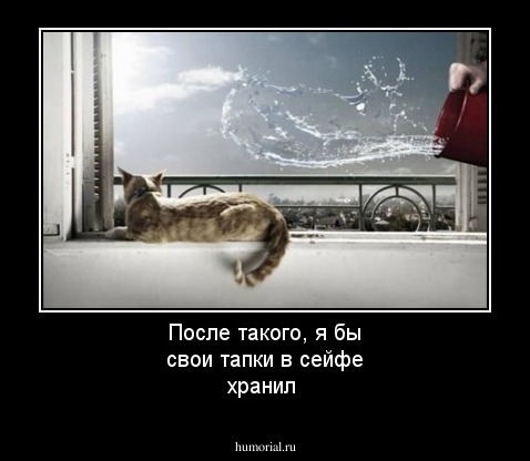 После такого, я бы свои тапки в сейфе хранил