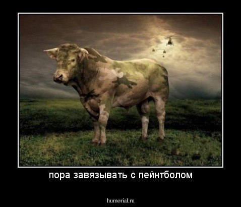 пора завязывать с пейнтболом