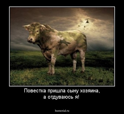 Повестка пришла сыну хозяина, а отдуваюсь я!
