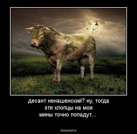 десант ненашенский? ну, тогда эти хлопцы на мои мины точно попадут... 
