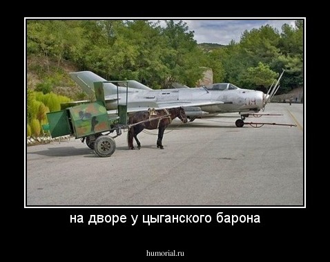 на дворе у цыганского барона