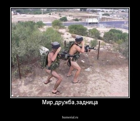 Мир,дружба,задница