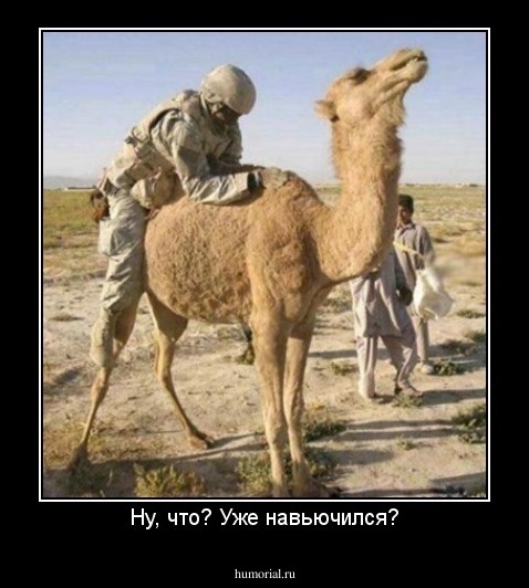 Ну, что? Уже навьючился?