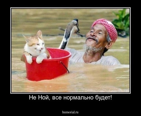 Не Ной, все нормально будет!