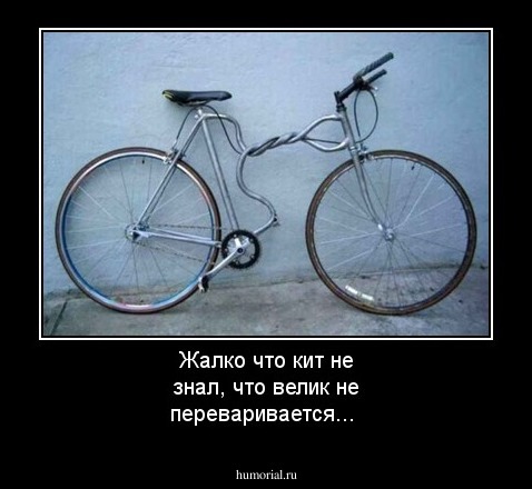 Жалко что кит не знал, что велик не переваривается...