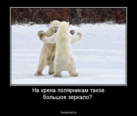 На хрена полярникам такое большое зеркало?