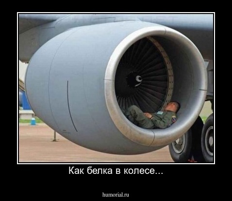 Как белка в колесе...