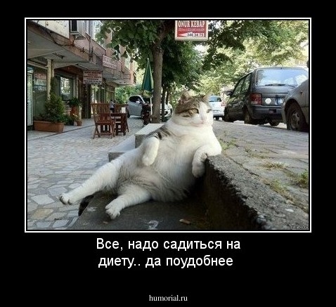 Все, надо садиться на диету.. да поудобнее