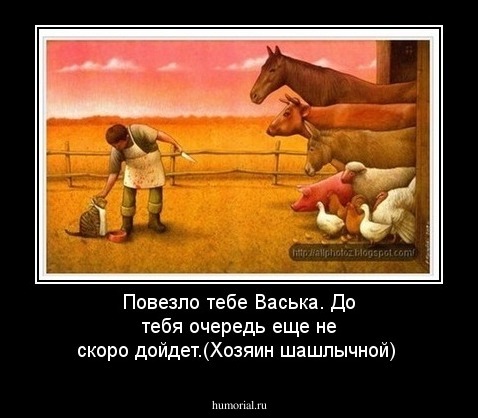 Повезло тебе Васька. До тебя очередь еще не скоро дойдет.(Хозяин шашлычной)