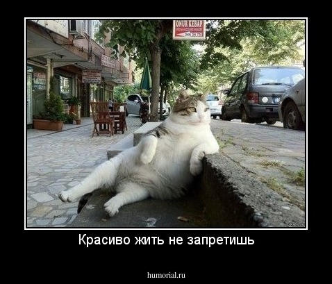 Красиво жить не запретишь