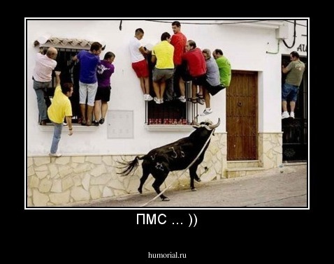 ПМС ... ))