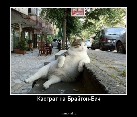 Кастрат на Брайтон-Бич