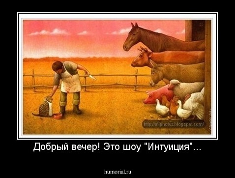 Добрый вечер! Это шоу "Интуиция"...