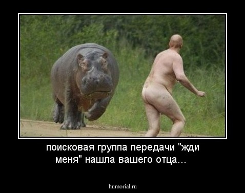 поисковая группа передачи "жди меня" нашла вашего отца... 