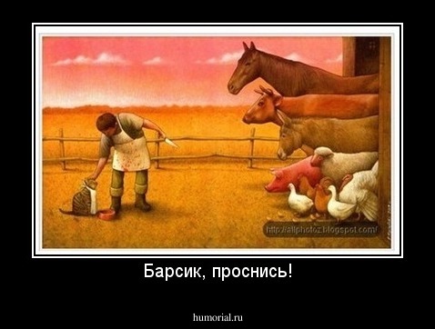 Барсик, проснись!