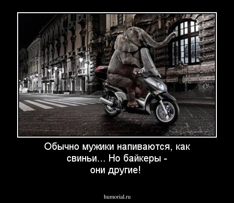 Обычно мужики напиваются, как свиньи... Но байкеры - они другие!  