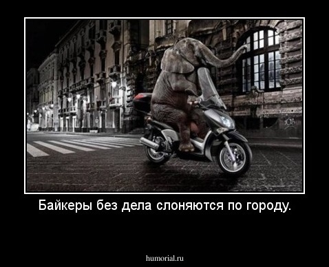 Байкеры без дела слоняются по городу.
