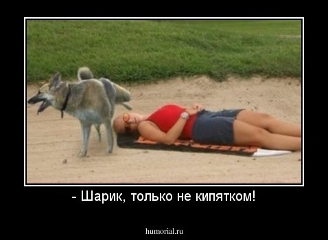 - Шарик, только не кипятком!
