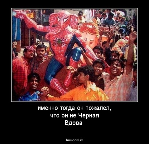 именно тогда он пожалел, что он не Черная Вдова