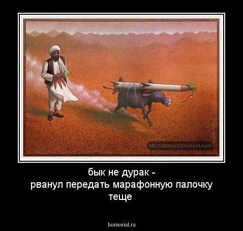 бык не дурак - рванул передать марафонную палочку теще